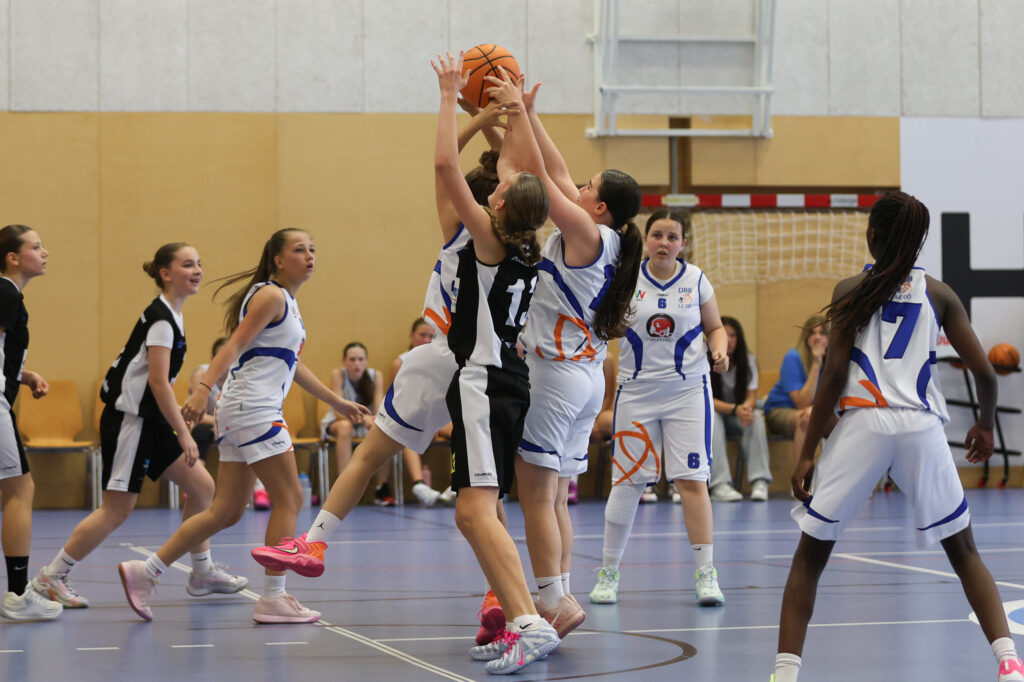 WU14 DBB Staplerprofi Basketgirls Wels - DBK Steyrer Young Witches 00134