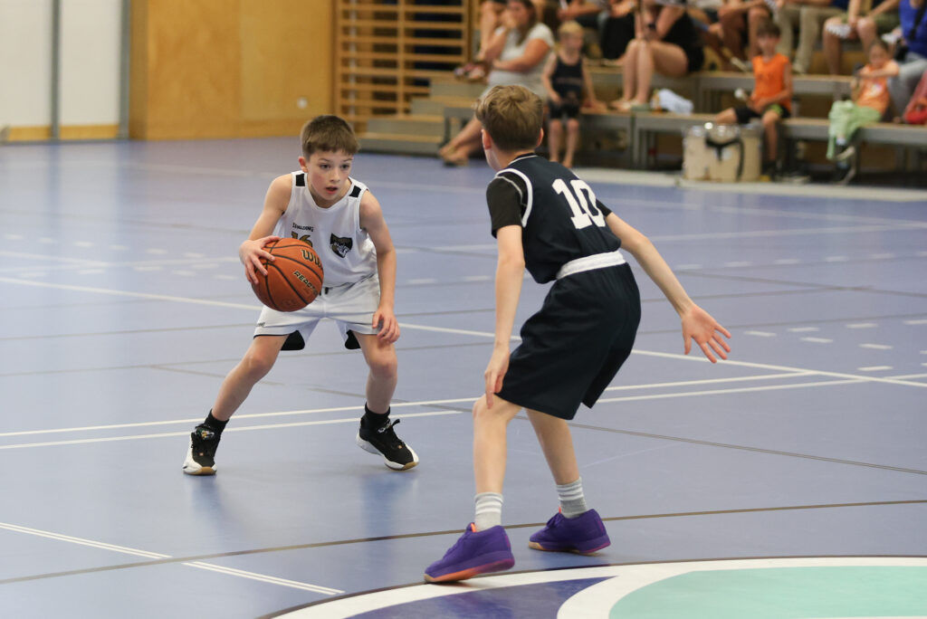 XU12 Swans 12 Grey - VKL Vikings 100075