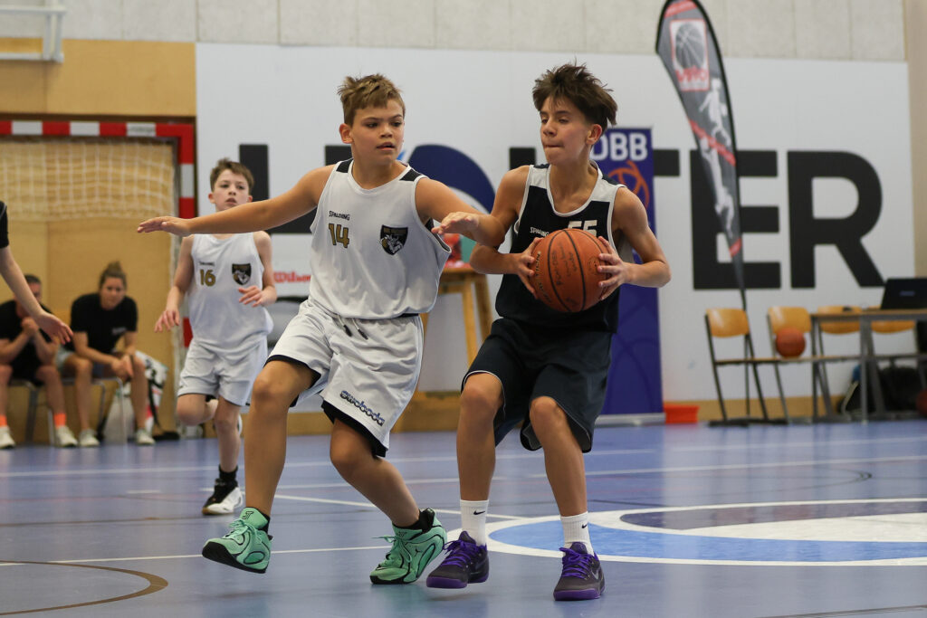 XU12 Swans 12 Grey - VKL Vikings 100098